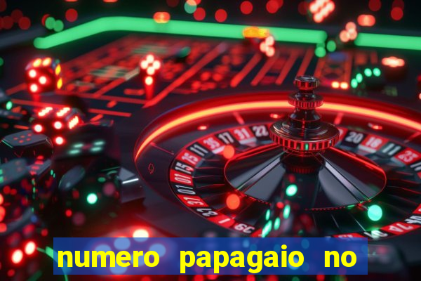 numero papagaio no jogo do bicho